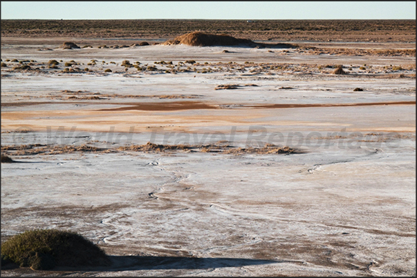 The salt of the ancient sea that covered the desert, appears on the surface The salt of the ancient sea that covered the desert, appears on the surface