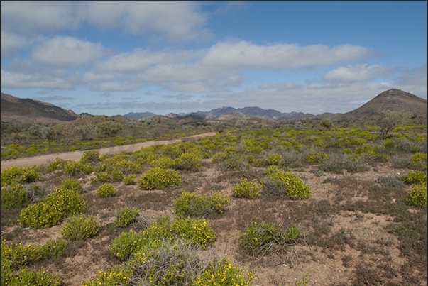 Flinders Ranges, the most important mountain range in South Australia