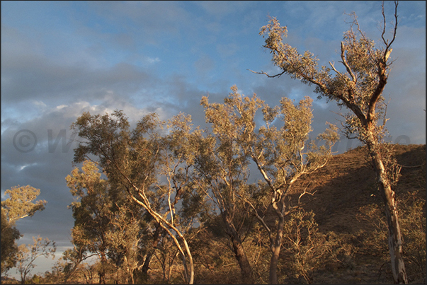 The mountain range of the Flinders Range, marks the end of the desert and the beginning of the territories inhabited The mountain range of the Flinders Range, marks the end of the desert and the beginning of the territories inhabited