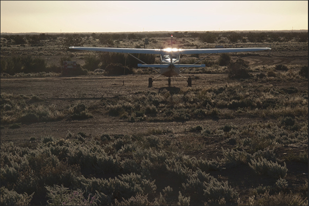 The plane is one of the most used vehicle by farmers to control the herds present in their large pastures The plane is one of the most used vehicle by farmers to control the herds present in their large pastures