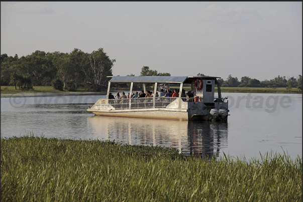 Tourist boat to visit the marshes generated by the Yellow River near the town of Cooinda