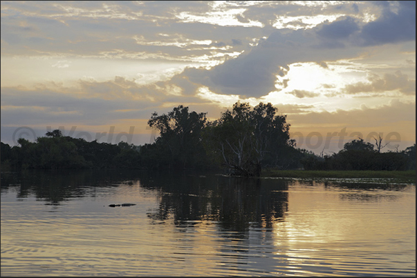 Yellow River is known for the hundreds of crocodiles that inhabit its banks and its waters