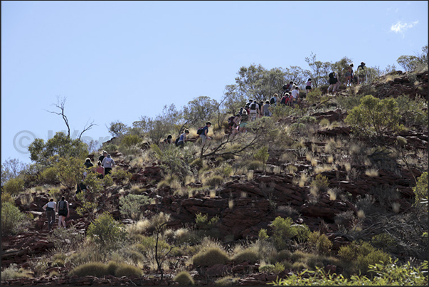 Watarrka National Park. Climb on the walls of Kings Canyon