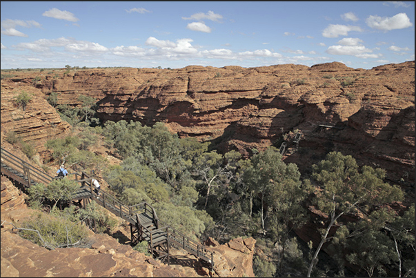 Watarrka National Park-Kings Canyon. Stairs to facilitate the descent into the secondary canyons Watarrka National Park-Kings Canyon. Stairs to facilitate the descent into the secondary canyons