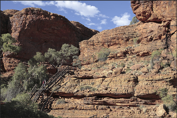 Watarrka National Park-Kings Canyon. Stairs to facilitate the descent into the secondary canyons Watarrka National Park-Kings Canyon. Stairs to facilitate the descent into the secondary canyons