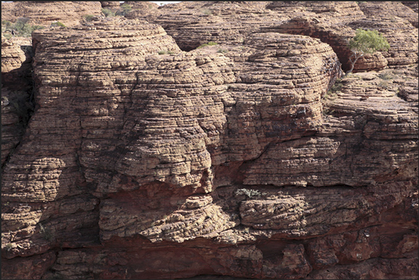 Watarrka National Park. Kings Canyon