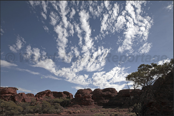 Watarrka National Park. Kings Canyon