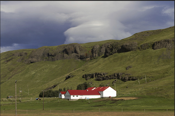 Along the way there are many cattle ranches Along the way there are many cattle ranches