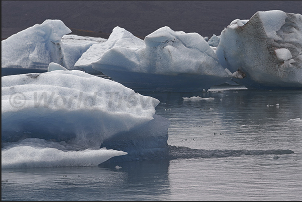 Iceberg on the lake formed by Jokulsarlon Glacier