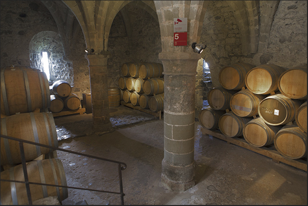 Chillon castle (XII century). Barrels of wine produced in the area Chillon castle (XII century). Barrels of wine produced in the area
