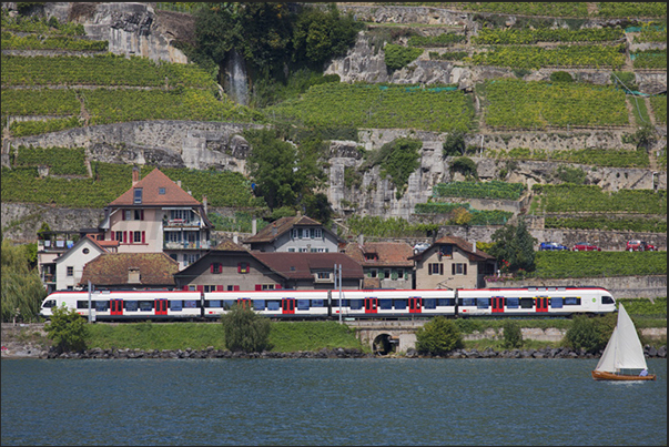 Boat and train are the means of transport most used by tourists to visit the lake