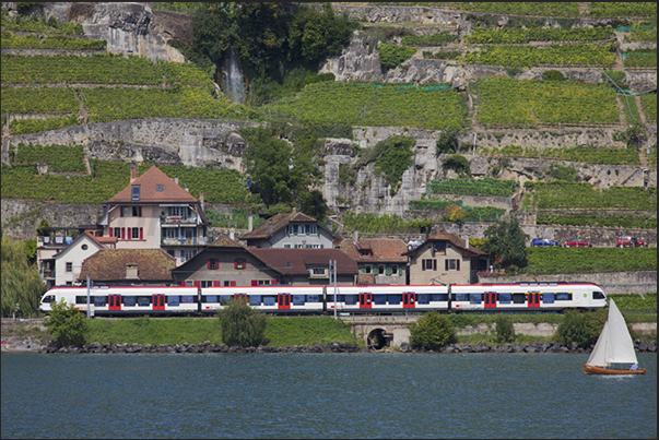 Boat and train are the means of transport most used by tourists to visit the lake Boat and train are the means of transport most used by tourists to visit the lake