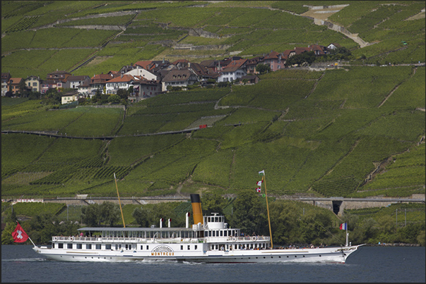 Steamboats wheel in front of the wineyards of Lavaux Steamboats wheel in front of the wineyards of Lavaux