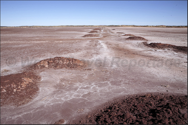 Leaving the Stuart Highway, following the National 4 towards Uluru, it passes close to the ancient salt lakes area