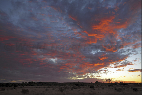 Sunset on the desert