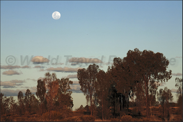 The moon rises over the desert