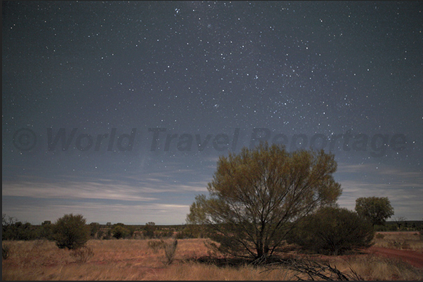 The night in the desert, the starry sky illuminates the environment The night in the desert, the starry sky illuminates the environment