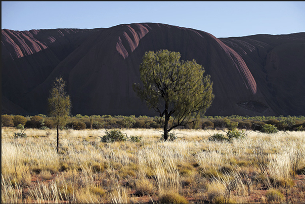 Uluru - Kata Tjuta National Park. Uluru, the sacred mountain for Aboriginal people Uluru - Kata Tjuta National Park. Uluru, the sacred mountain for Aboriginal people