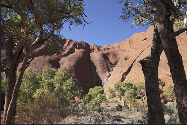 The high vertical walls of sandstone and feldspar, depending on time of day take on different colors ranging from brown to red The high vertical walls of sandstone and feldspar, depending on time of day take on different colors ranging from brown to red