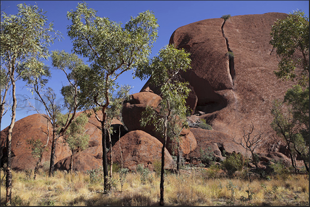 The high vertical walls of sandstone and feldspar, depending on time of day take on different colors ranging from brown to red The high vertical walls of sandstone and feldspar, depending on time of day take on different colors ranging from brown to red