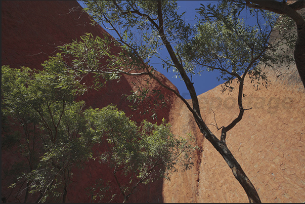 Uluru-Kata Tjuta National Park. The high vertical walls of Uluru Uluru-Kata Tjuta National Park. The high vertical walls of Uluru