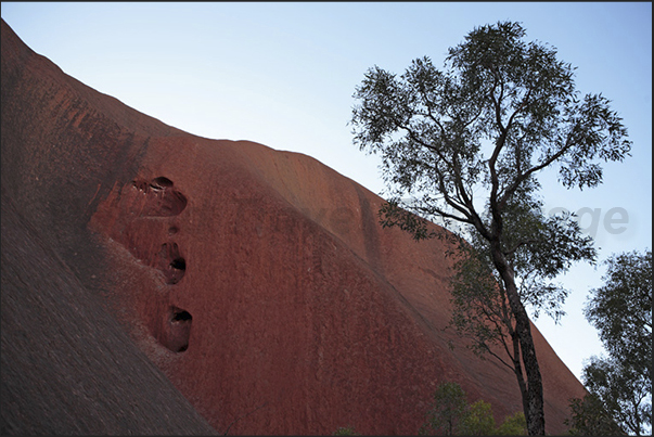 Uluru-Kata Tjuta National Park. Erosions and mysterious caves appear on the walls of the monolith