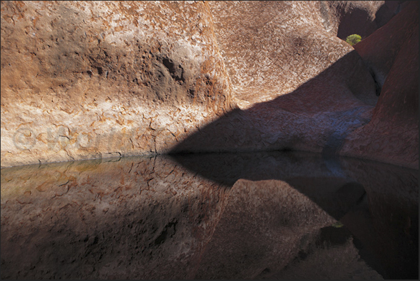 Uluru-Kata Tjuta National Park. Small lakes of rainwater at the base of Mount Uluru