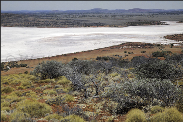 Great Gairdner Salt Lake