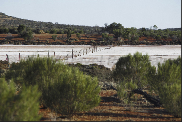 Gairdner Salt Lake. The salt is everywhere in the National Park Gairdner Salt Lake. The salt is everywhere in the National Park