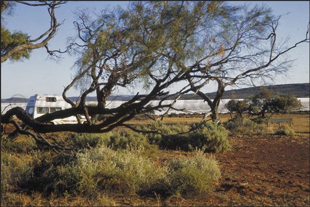 Gairdner National Park. Rest area along the lake Gairdner National Park. Rest area along the lake