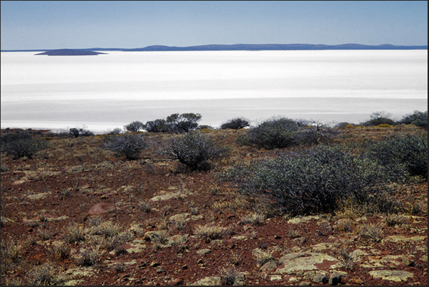 Along the coast of the Great Gairdner Salt Lake