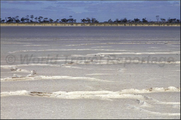 Lake Gairdner National Park