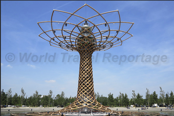 The Tree of Life The Tree of Life