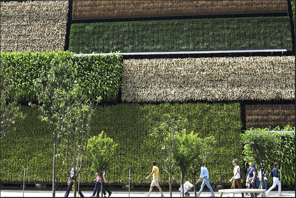 The great exhibitions of vertical fields of USA pavilion The great exhibitions of vertical fields of USA pavilion