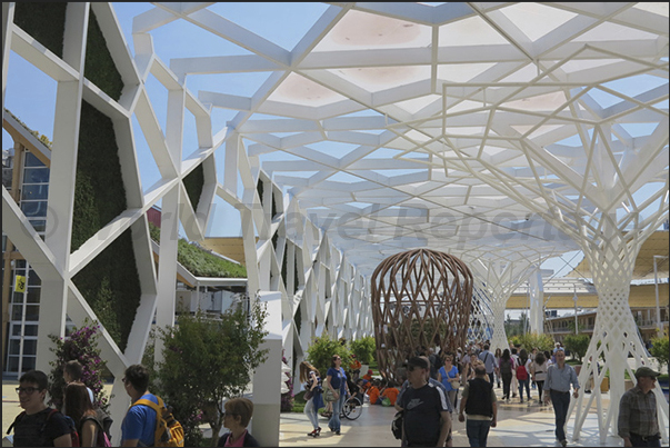 The architectures that shading the avenue leading to the Biodiversity Park