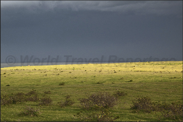 From Adelaide, to reach the Murray River, crossing large cattle pastures and cultivated areas