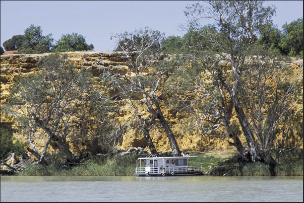 The sandstone cliffs near Waikerie