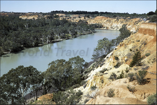 The stretch of Murray River that crosses the Murtho National Park near Renmark