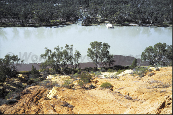 The stretch of Murray River that crosses the Murtho National Park near Renmark