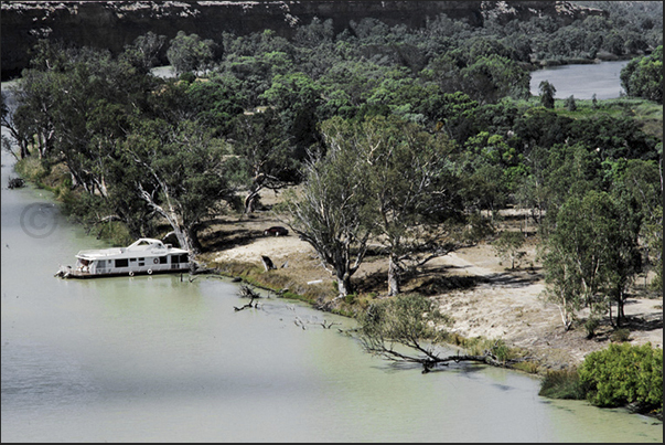 The Murray River near Walker Flat