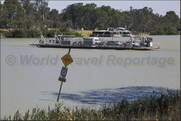 There are many ferries that across the Murray River There are many ferries that across the Murray River
