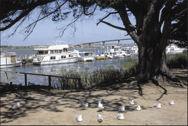 Goolwa is an historic river port on the Murray River near the Murray Mouth and joined by a bridge to Hindmarsh Island Goolwa is an historic river port on the Murray River near the Murray Mouth and joined by a bridge to Hindmarsh Island