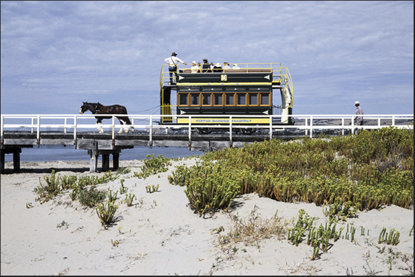 Victor Harbor, Fleurieur Peninsula. The horse tram Victor Harbor, Fleurieur Peninsula. The horse tram