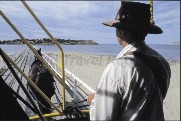 Victor Harbor, Fleurieur Peninsula. The horse tram. The long bridge that connects the coast with Granite Island Victor Harbor, Fleurieur Peninsula. The horse tram. The long bridge that connects the coast with Granite Island