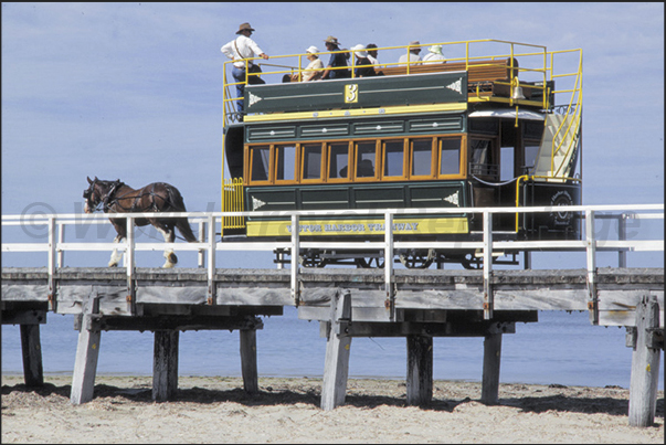 Victor Harbor, Fleurieur Peninsula. The touristic horse tram Victor Harbor, Fleurieur Peninsula. The touristic horse tram