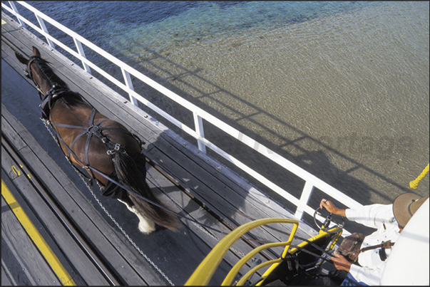 Victor Harbor, Fleurieur Peninsula. The touristic horse tram