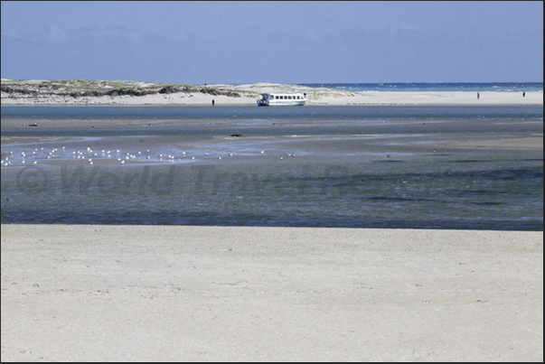 The coastal lagoon separated from the ocean by a strip of dunes and sand, part of the Coorong National Park The coastal lagoon separated from the ocean by a strip of dunes and sand, part of the Coorong National Park