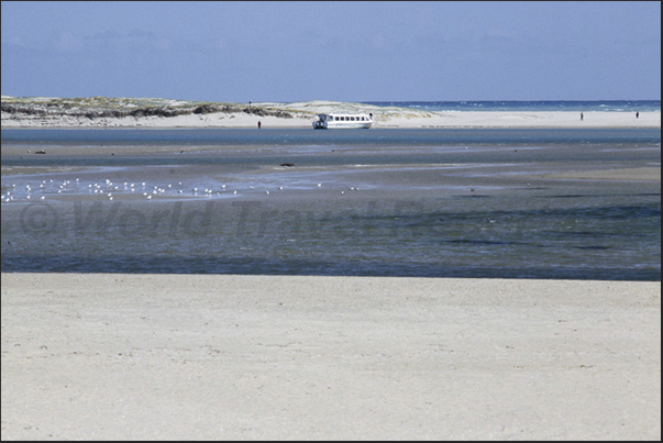 The coastal lagoon separated from the ocean by a strip of dunes and sand, part of the Coorong National Park