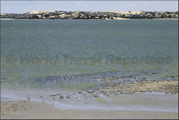 The coastal lagoon separated from the ocean by a strip of dunes and sand, part of the Coorong National Park