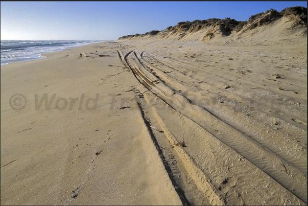 The long beaches on the ocean coast near the town of Kingstone